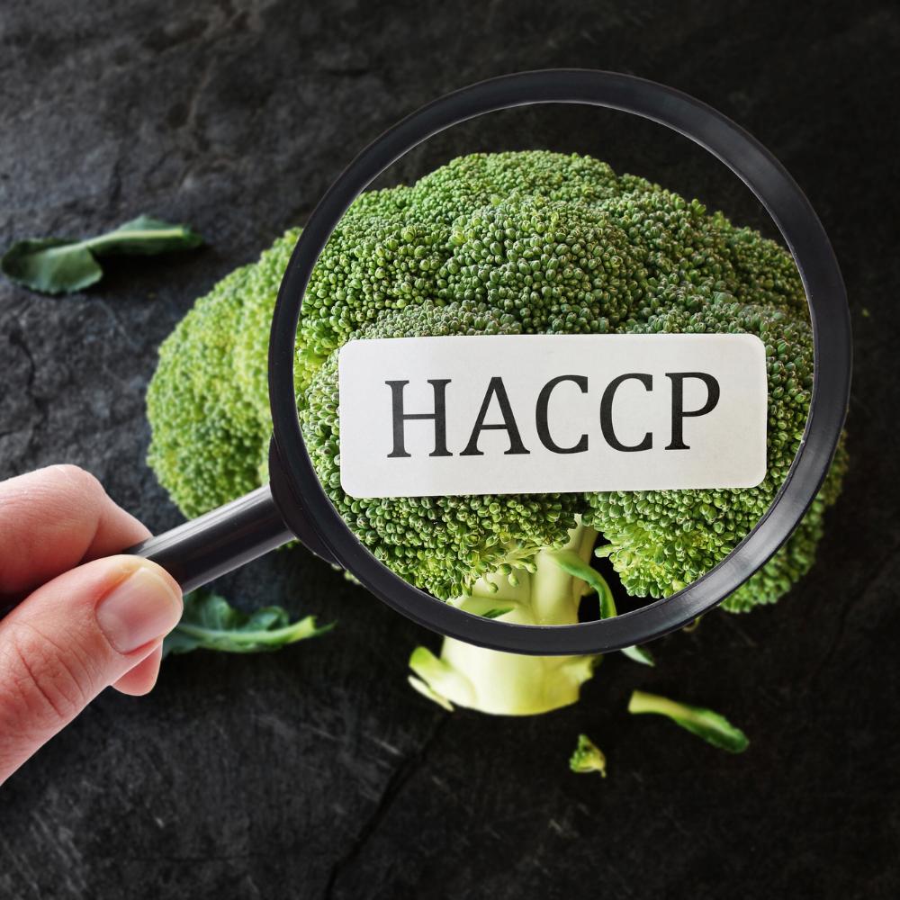 Ristorazione e HACCP – Eco Chimica SRL