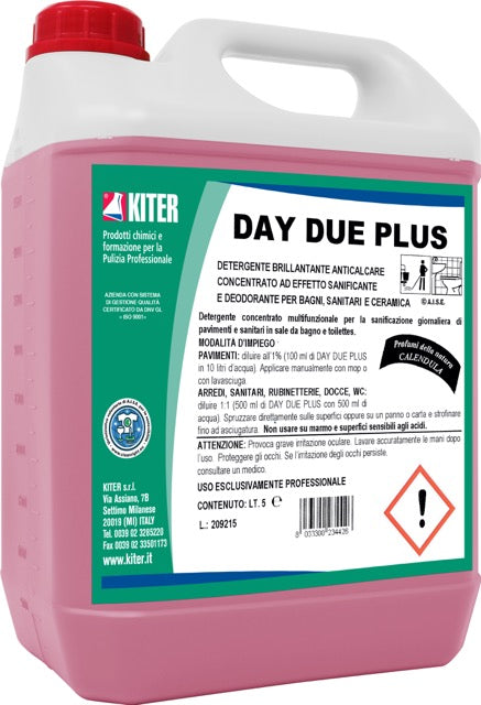 DAY DUE PLUS - Detergente brillantante anticalcare concentrato ad effetto igienizzante e deodorante per bagni, sanitari e ceramica